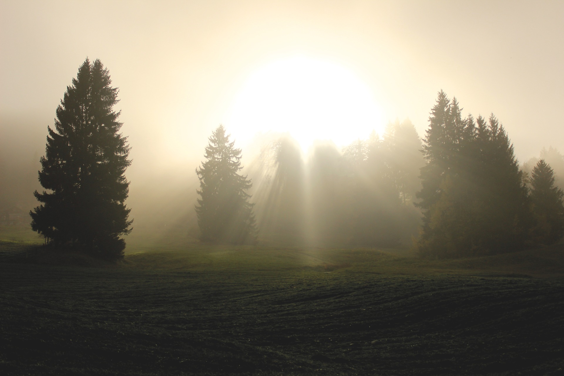 Le soleil se lève toujours